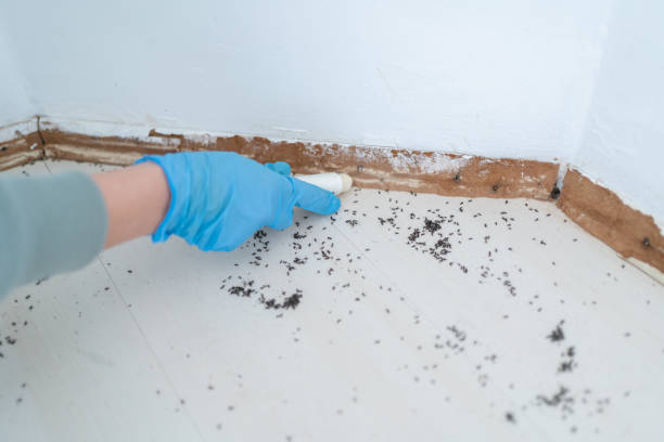  University Of Pittsburgh Johnstown, PA Pest Control Pros