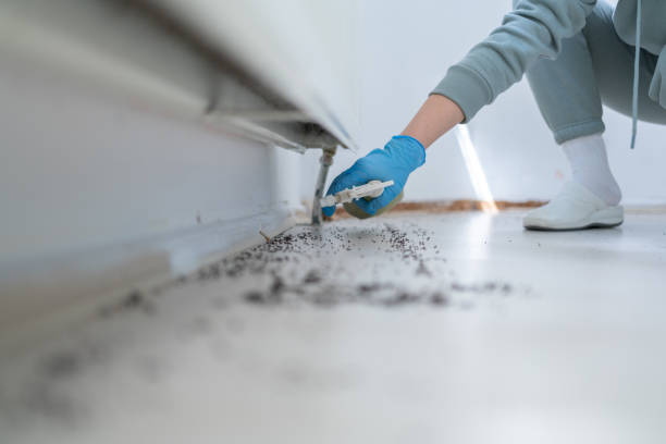 Best Affordable Pest Control Services  in University Of Pittsburgh Johnstown, PA
